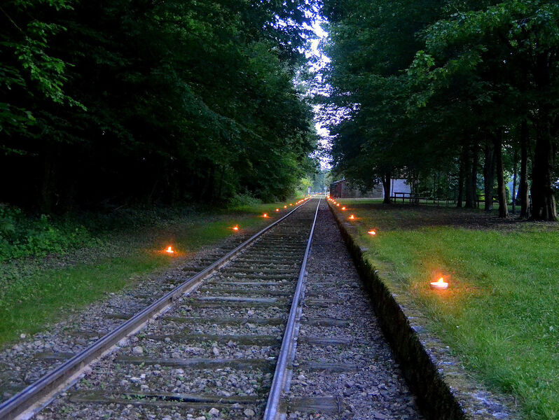 nocturne-ferra-botanica-ferte-gaucher-provins-2