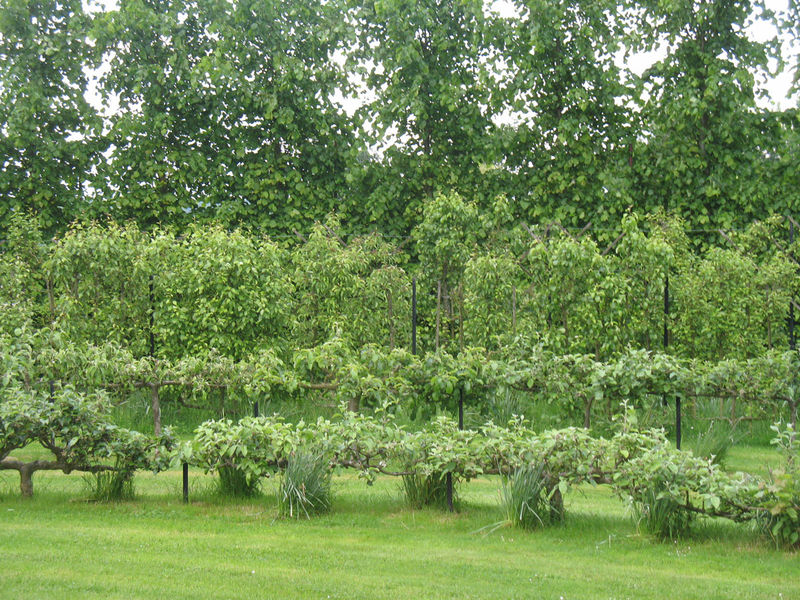 theatre-de-verdure