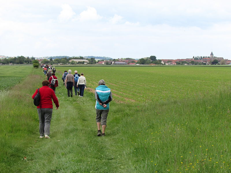 marche-gourmande-villiers-st-georges-provins-1