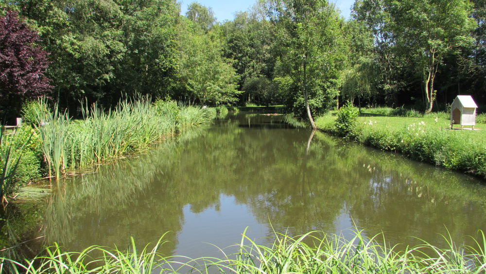 etangs