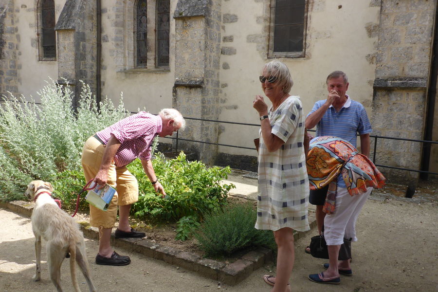 couleur-jardin-donnemarie-provins