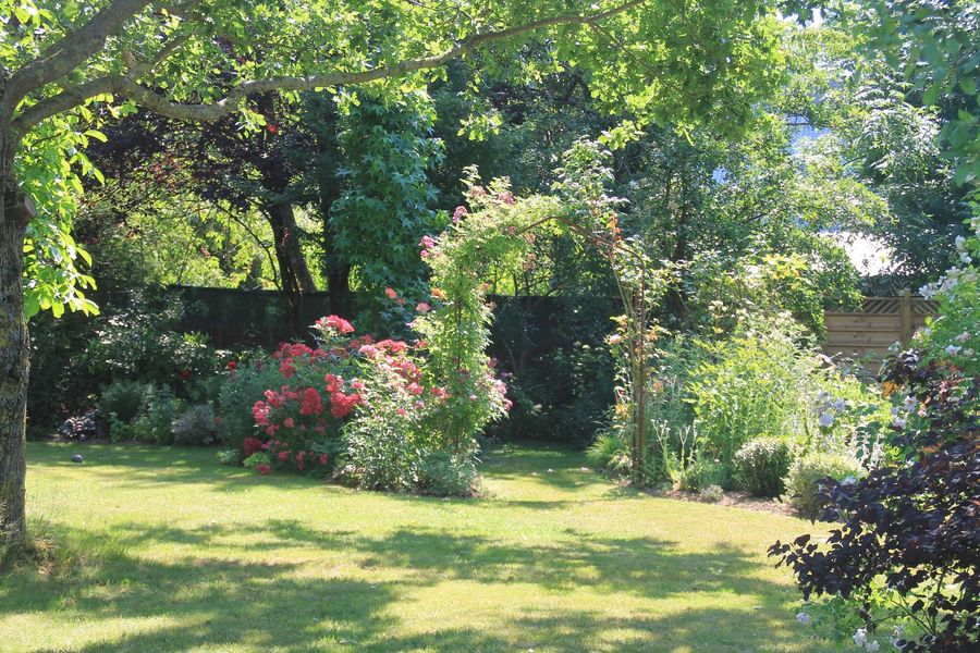 jardin-valerie (3)