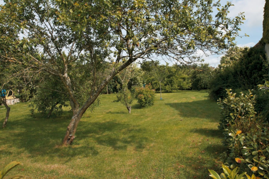 a-l-oree-des-champs-provins-12