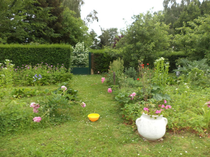 jardin-de-blanche-provins-jardin-3