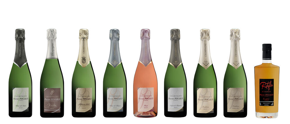 champagne-pierre-pinard-sezanne-provins-3