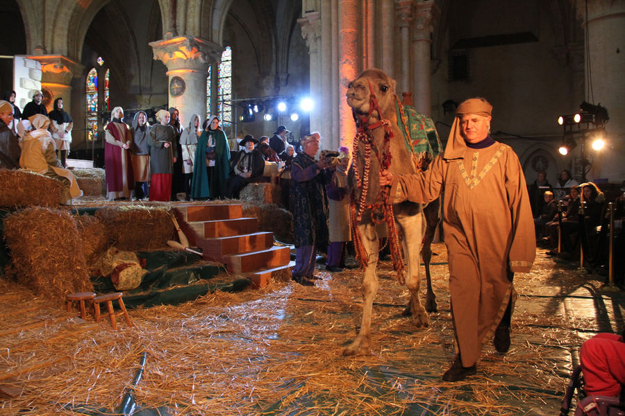 noel-provins-vivante