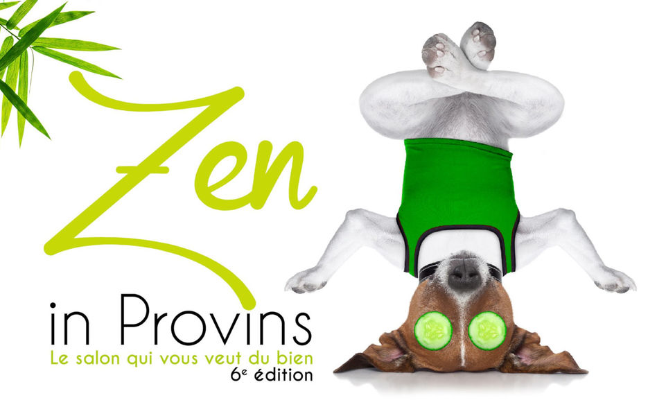 salon-zen-provins-2020