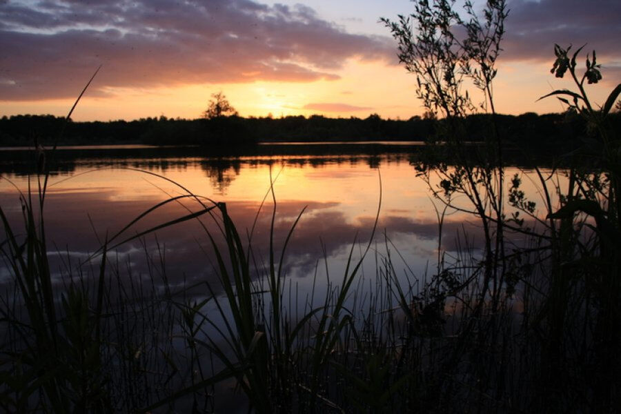 sortie-cocharde-reserve-naturelle-gouaix-provins