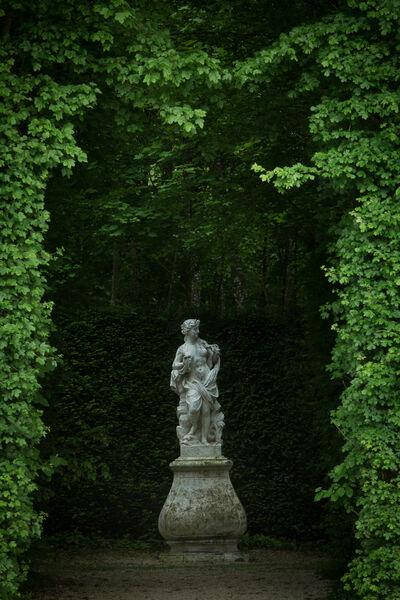 expo-empreintes-chateau-motte-tilly-provins-2
