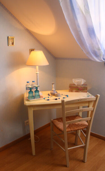 oree-des-champs-chambre-d-hote-villiers-saint-georges-provins-3