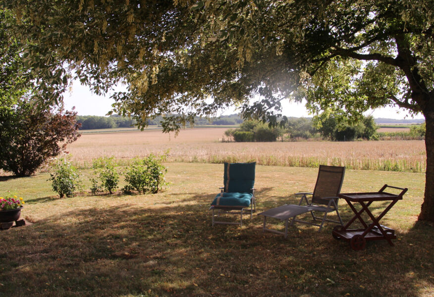 oree-des-champs-chambre-d-hote-villiers-saint-georges-provins-8