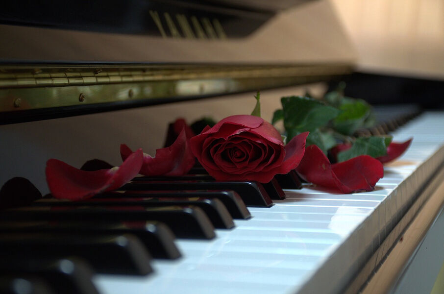 concert-opera-orient-verdelot-provins