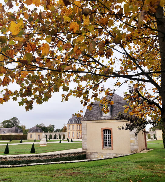 ateliers-magie-automne-chateau-la-motte-tilly-provins-2
