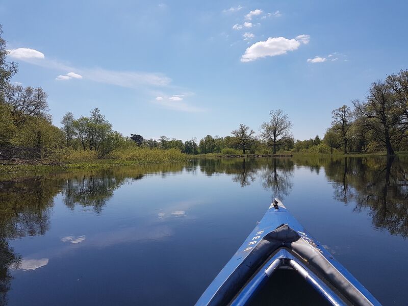 sortie-nature-canoe-reserve-naturelle-gouaix-provins