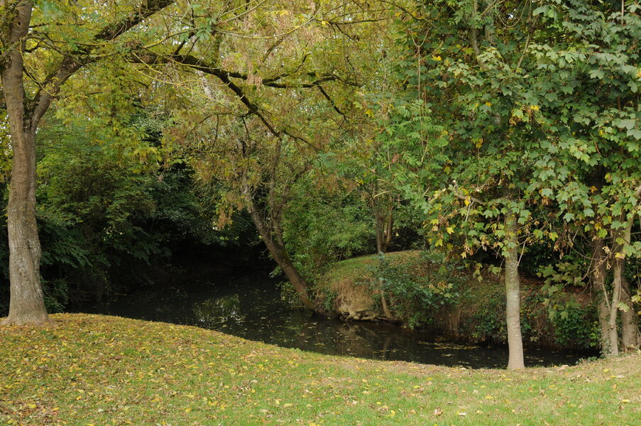 Saint Cyr le Petit Morin
