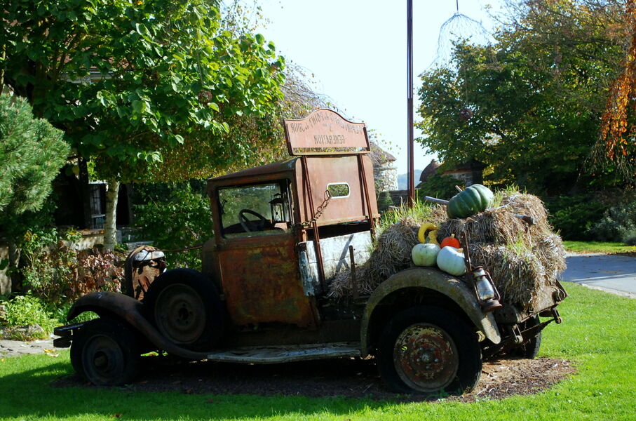 Point-du-jour-Verdelot-provins-tourisme (18)