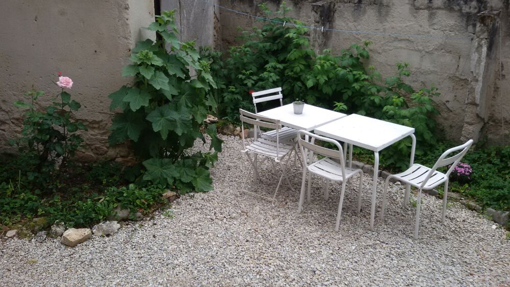 framboisiers-villenauxe-la-grande-provins-5