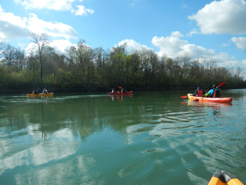 balade-nature-canoe-reserve-naturelle-bassee-gouaix-provins-2-agrenaba