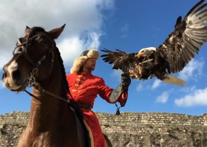 Les Aigles des Remparts, spectacle historique de Provins