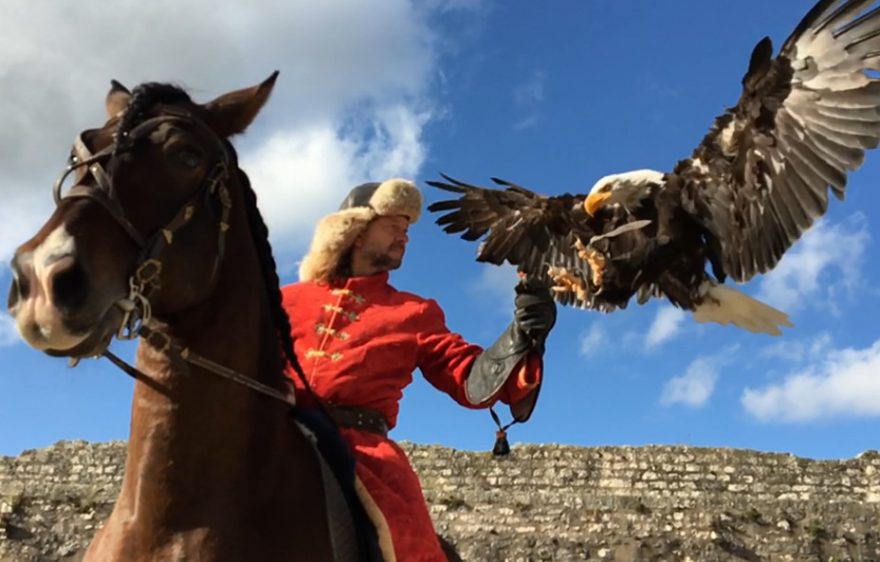 Les Aigles des Remparts, spectacle historique de Provins Les Aigles des Remparts, spectacle historique de Provins