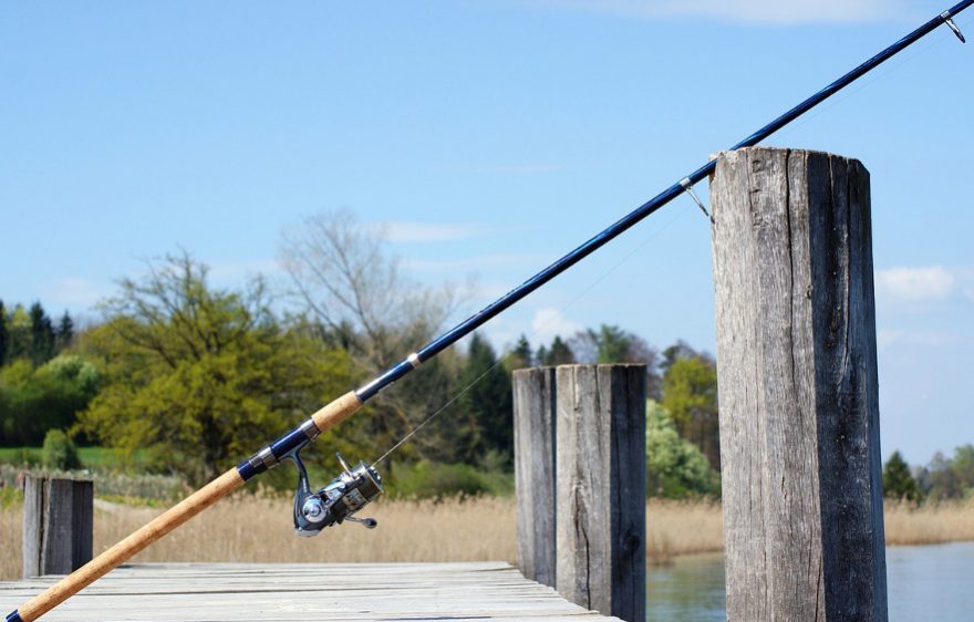 Fishing destination in Provins region Fishing destination in Provins region