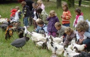 Ferme pédagogique de Saint-Hilliers AEDF, Hameau de Savigny proche de Provins