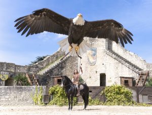 Les Aigles des Remparts, spectacle historique de Provins