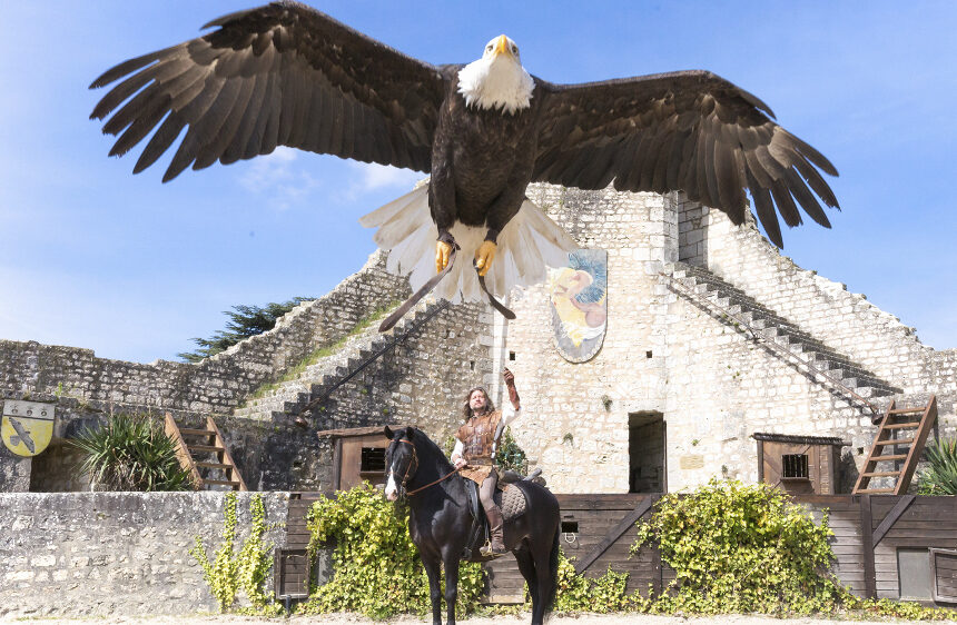 The Eagles of the Ramparts, medieval show in Provins The Eagles of the Ramparts, medieval show in Provins