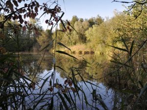 Réserve Naturelle Nationale de la Bassée, proche de Provins