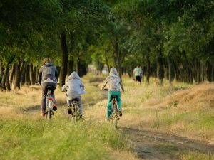 Location de VTT et VTC électriques à Provins et La Feté-Gaucher