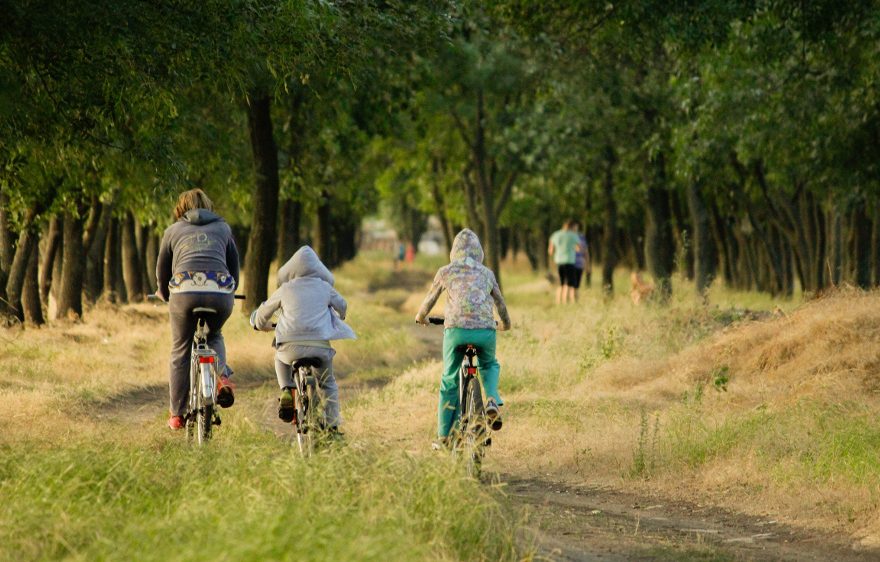 Location de VTT et VTC électriques à Provins et La Feté-Gaucher Location de VTT et VTC électriques à Provins et La Feté-Gaucher