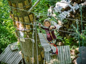 Jumping Forest, parc d'accrobranche, archery battle et laser game, à Chenoise proche de Provins