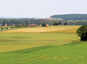 Au cœur du Montois, randonnée pédestre dans le Bassée-Montois, région de Provins