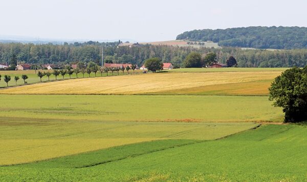 In the heart of the Montois region, hiking in the Bassée-Montois, Provins region In the heart of the Montois region, hiking in the Bassée-Montois, Provins region