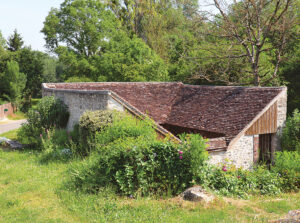 Le bois de Sigy, randonnée pédestre dans le Bassée-Montois, région de Provins