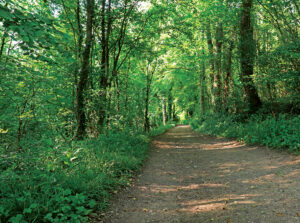 Le chemin des Gailles, randonnée pédestre dans la Vallée des 2 Morin, région de Provins