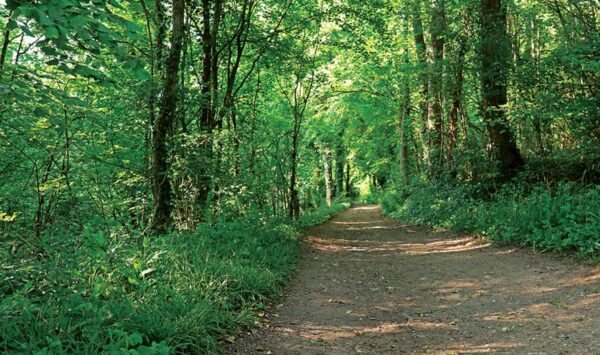 Le chemin des Gailles, randonnée pédestre dans la Vallée des 2 Morin, région de Provins Le chemin des Gailles, randonnée pédestre dans la Vallée des 2 Morin, région de Provins