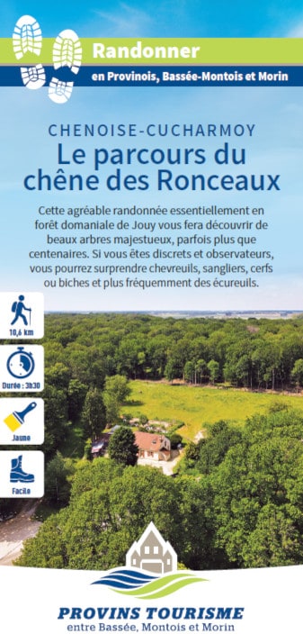Le parcours du chêne des Ronceaux, randonnée pédestre dans le Provinois, région de Provins