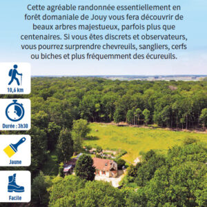 Le parcours du chêne des Ronceaux, randonnée pédestre dans le Provinois, région de Provins